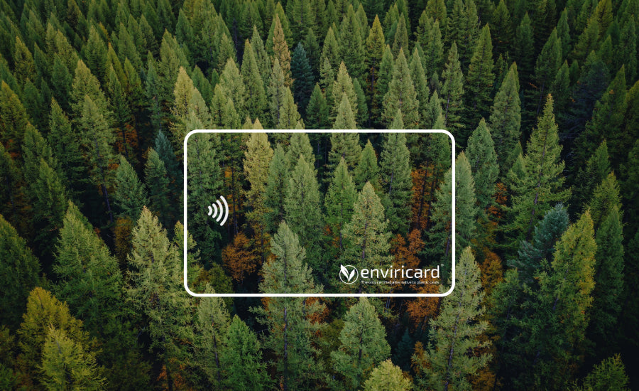 Growing Demands for Sustainable Fintech Solutions